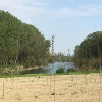 Dom_2_aprile_2017_bike_tour_UnParcoPerIlFiumeBrenta_16