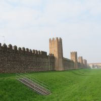 IMG_4980
