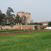 IMG_4989