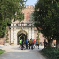 IMG_4990