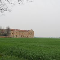 IMG_4991