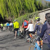 IMG_20240324_100734