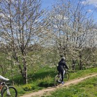 IMG_20240324_122832