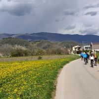IMG_20240324_123721