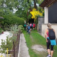 IMG-20211004-WA0017