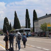 439