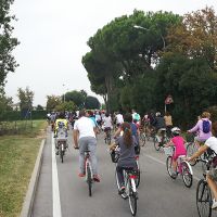 IMG_20180923_112318