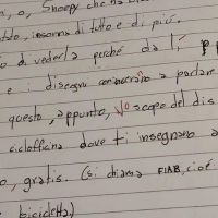 PHOTO-29