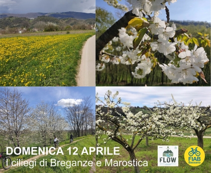 I ciliegi di Breganze e Marostica - 12 aprile 2026