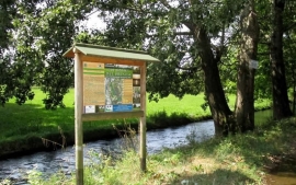 Alla scoperta delle terre basse del Brenta - 5 maggio 2019